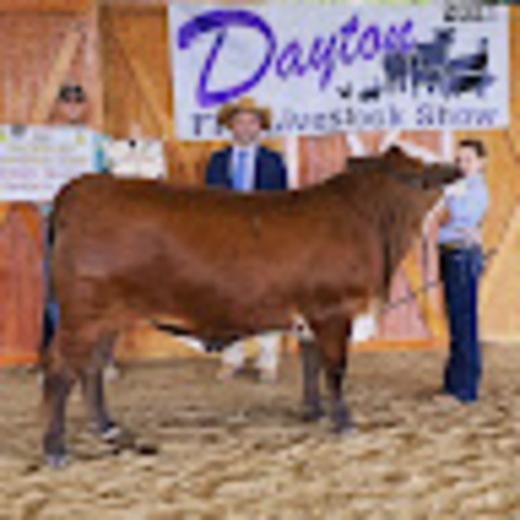 Meet your Posher, Cameron - Picture 1 of 1